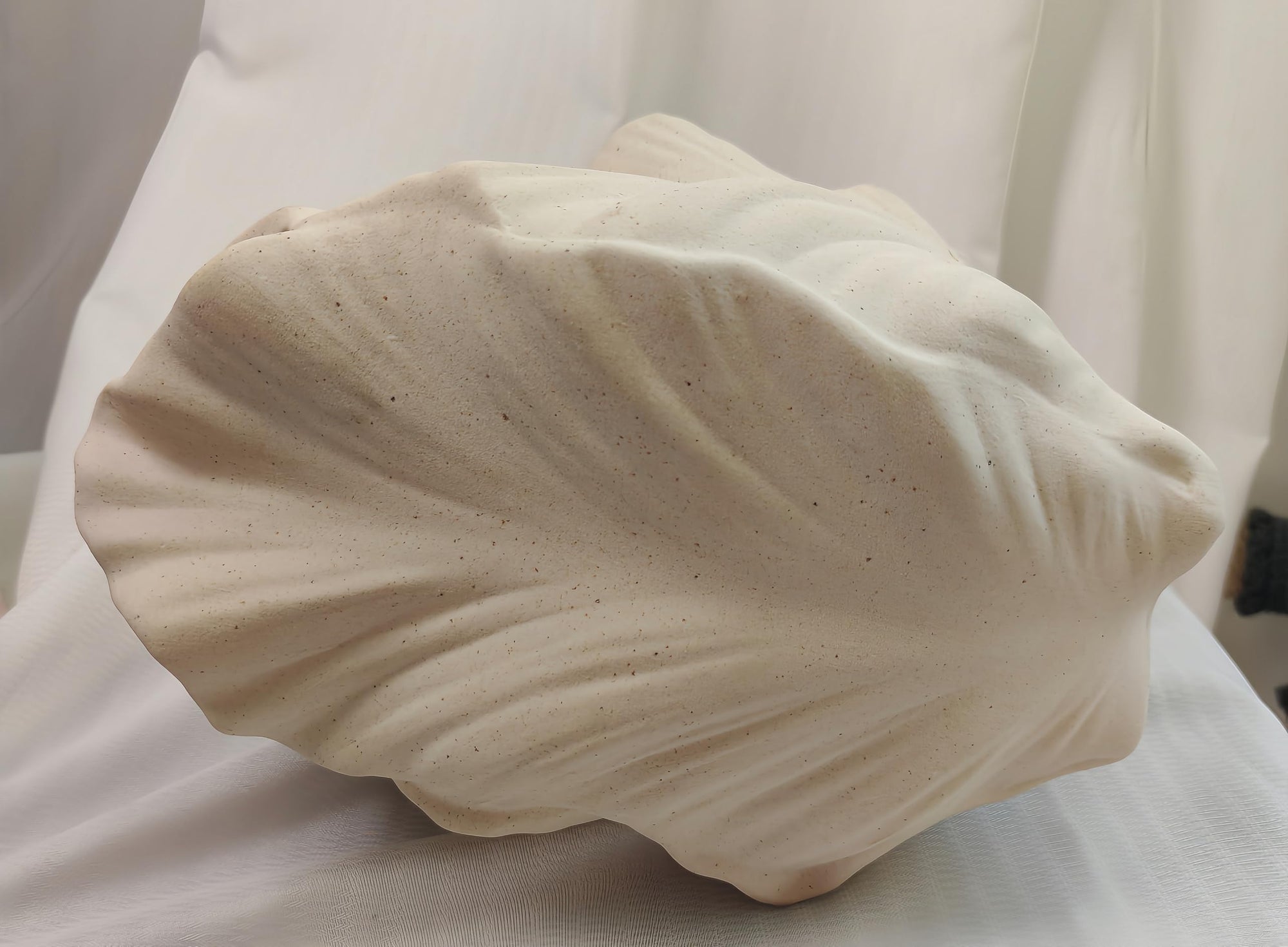 Ocean-Theme Ceramic vase, 8.6 ×5.7×5.3 inches,coasta Shell-Shaped vase,Centerpieces for Spaces Such as Tables, Shelves and fireplaces,Suitable for Various Decoration Styles